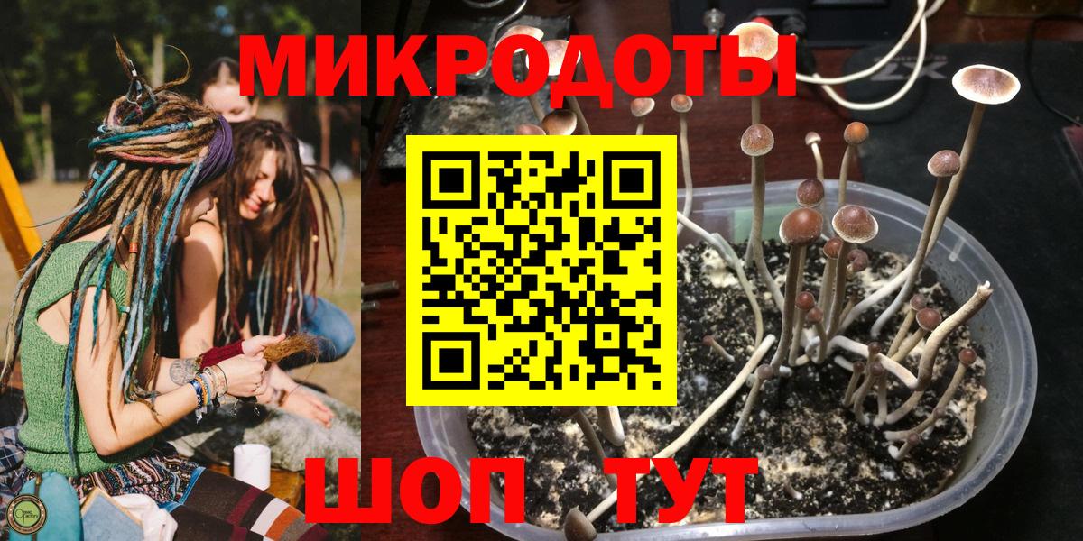 Галлюциногенные грибы мицелий  Вход с VPN  Сызрань  Псилоцибиновые грибы MAGIC MUSHROOMS 